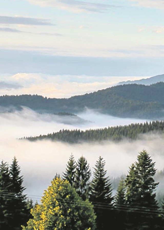 Beskid Wyspowy zasługuje na więcej turystów - to niesamowite góry