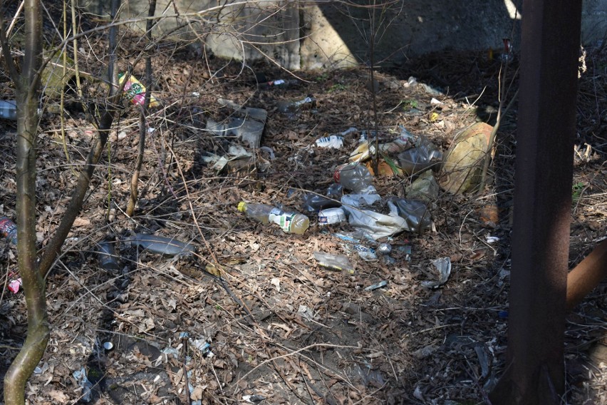 Śmieci na brzegu rzeki Baby w Olkuszu