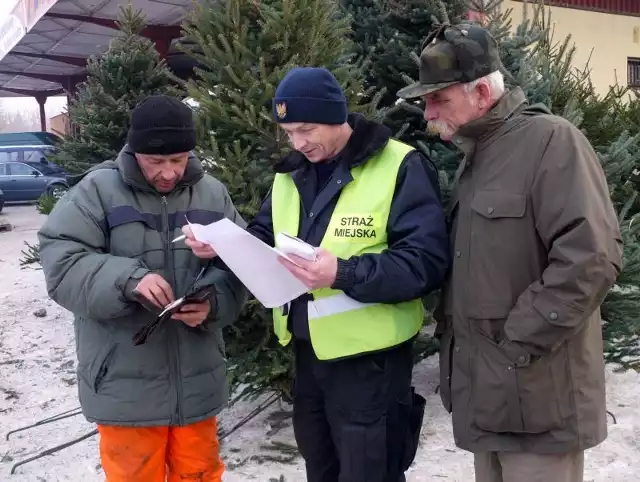 W sobotę strażnicy miejscy i leśnicy kontrolowali sprzedawców choinek oraz gałęzi ozdobnych na targowisku przy ulicy Wernera.