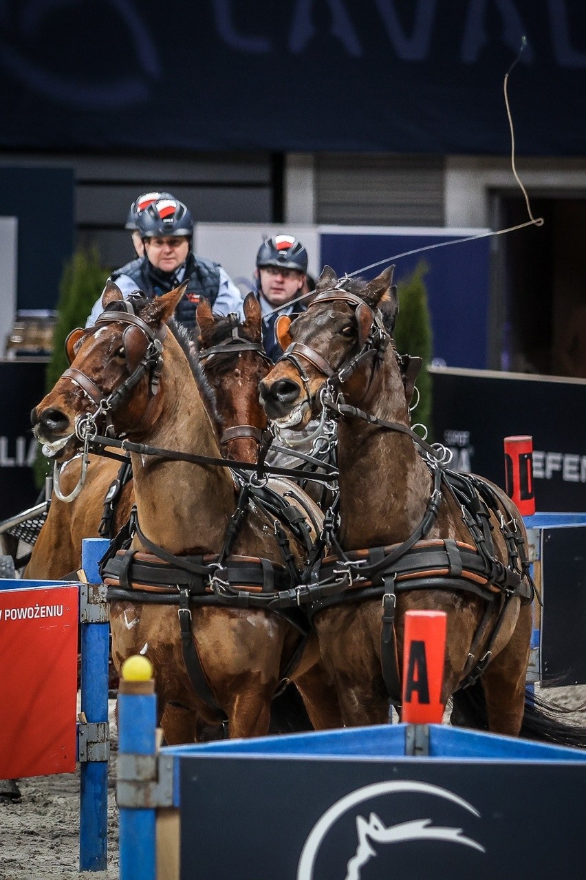 Zuzanna Niziołek z Sopotu zwyciężyła w konkursie podczas Cavaliady! [ZDJĘCIA]