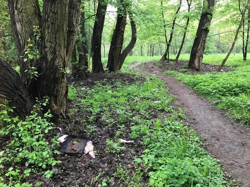 Kraków. Mieszkańcy Łęgu chcą zamienić zarośla na park. Miasto uważa, że wcześniej trzeba sprawdzić wartości przyrodnicze tego miejsca