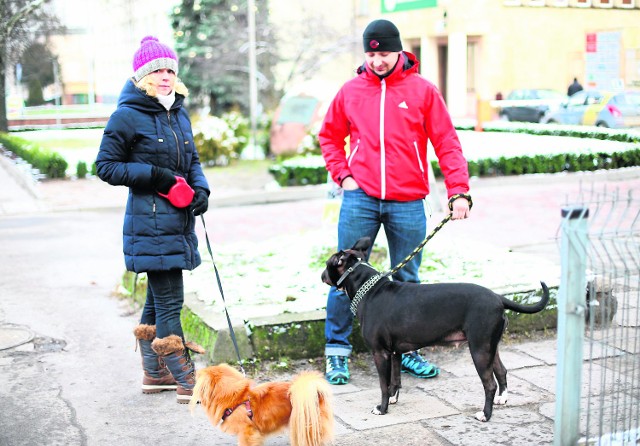 - Na pewno właściciele psów dbają o swoje zwierzęta i sprzątają po nich, jeśli zabierają je na spacer - mówią radomianie Anna i Maciej, którzy wybrali się na przechadzkę ze swoimi psami, Felkiem i Norą.