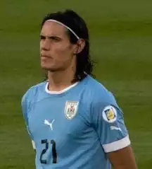 Edinson Cavani. Liczba punktów - 18. Miejsce w plebiscycie Złota Piłka 2013 - 20.