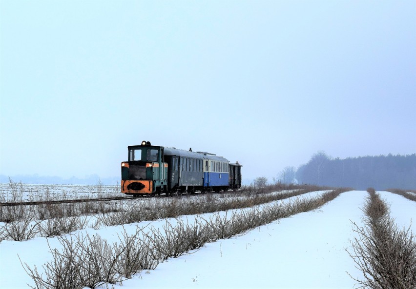 Od niedzieli 19 stycznia ruszają zimowe ciuchcie wąskotorowe z Rogowa do Jeżowa