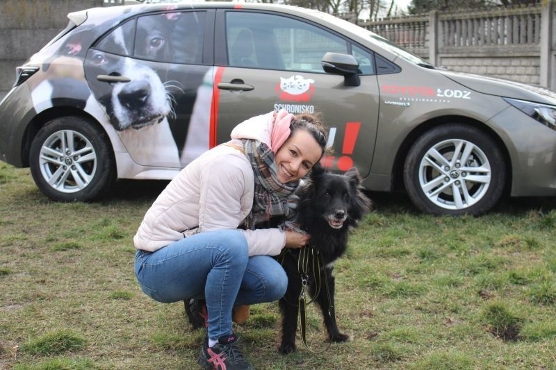 Bezdomne czworonogi zawsze mogą liczyć na łódzkie siatkarki, Mistrzynie Polski w siatkówce