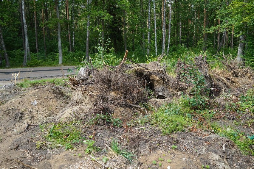 Droga do Olmont będzie znacząco przebudowana