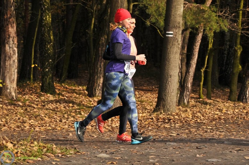 Bieg Wiewiórki 2016 - zdjęcia z finałowego biegu