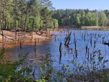 Łuk Mużakowa - kolorowe jeziorka i martwe lasy. To dobry pomysł na weekendowy wyjazd