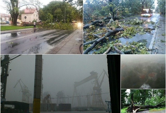 Burza nie oszczędziła naszego regionu: zwalone drzewa, wichura, brak prądu w miastach...