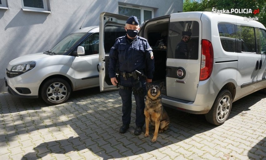 Policjant z Rybnika i jego dwa psy Kira oraz Heban niosą...