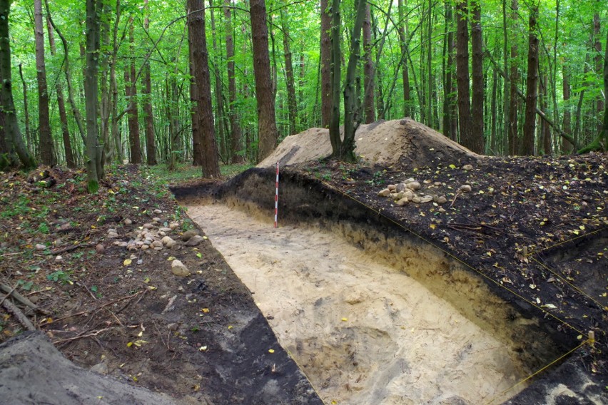 Badania archeologiczne na terenie Puszczy Białowieskiej