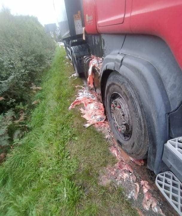 Śmierdząca kolizja. Cuchnące odpadki ryb na drodze 211.