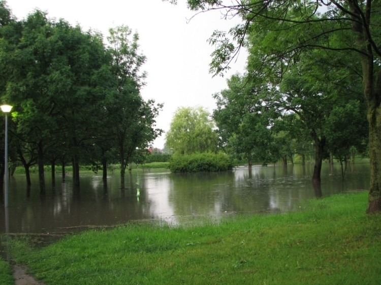 Zalany został pobliski park