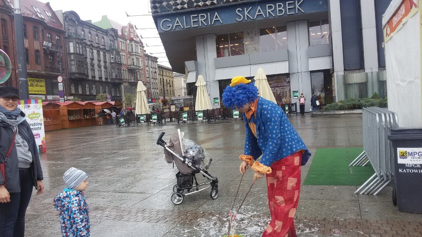 Festiwal jabłka w Katowicach