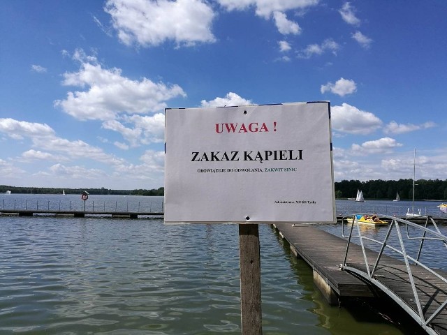 Sinice znów na Paprocanach. Kąpielisko zostało zamknięte do odwołania