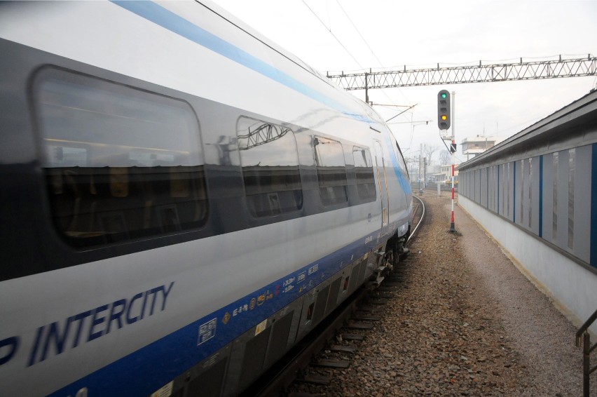 Bobry są zagrożeniem dla... pendolino