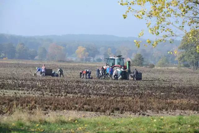 Tragedia we wsi Lisewo. Nie żyje rolnik.