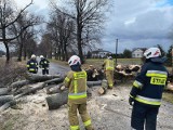 Lubelskie. Trwa walka ze skutkami wichur w regionie. 60-latka trafiła do szpitala