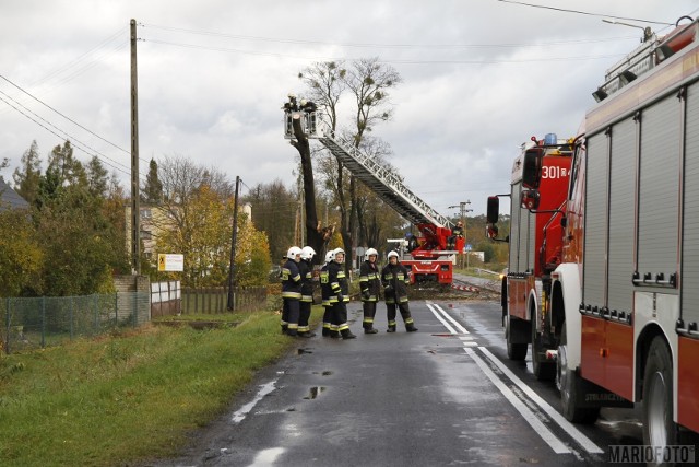 Wypadek przy ul. Namysłowskiej w Dobrzeniu Wielkim. Konar drzewa spadł na samochód. Zginął kierowca, pasażer został ranny.