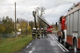 Konar drzewa spadł na jadący samochód w Dobrzeniu Wielkim. Zginął kierowca. Policja szuka świadków