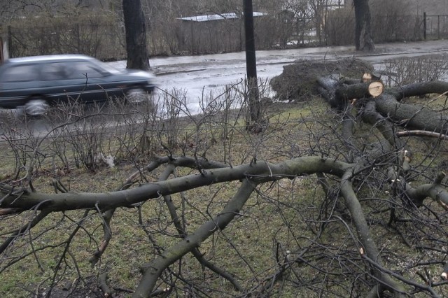 Maksymalne porywy wiatru - od 85 do 95 km/h - prognozowane są na piątek, 6 grudnia. 