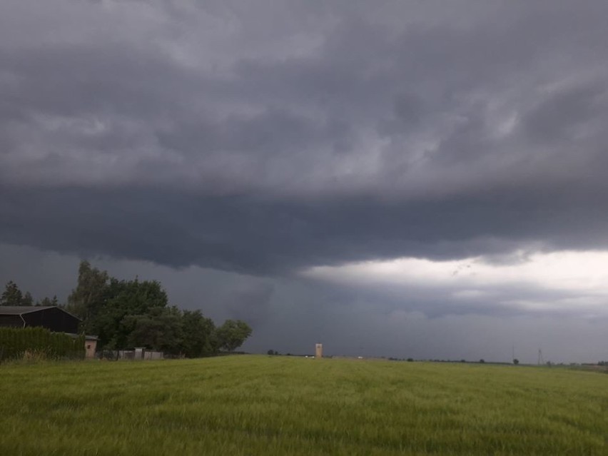 Burza na Kujawach. Powalone drzewa. Jedna osoba w szpitalu [zdjęcia] 