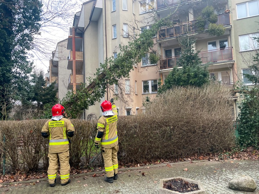 Osiedle Bukowe w Szczecinie, ulica Brązowa