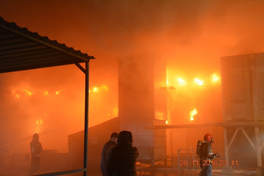 Pożar w fabryce okien pod Goleniowem [zdjęcia, wideo]