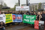 Wycinka drzew przy Parku Śląskim - stowarzyszenia ze Śląska apelują do sieci ALDI o rezygnację z budowy sklepu w miejscu wycinki
