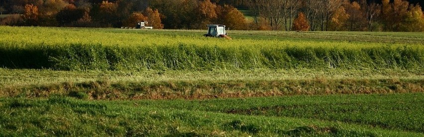 Zasady przedłużania umów dzierżawy? Prace trwają