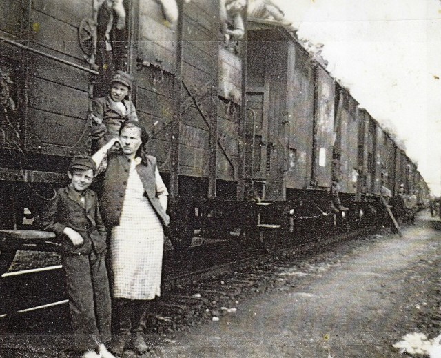 Na Ziemie Odzyskane po 1945 roku nasi dziadkowie i ojcowie przyjeżdżali m.in. takimi wagonami towarowymi jak na zdjęciu