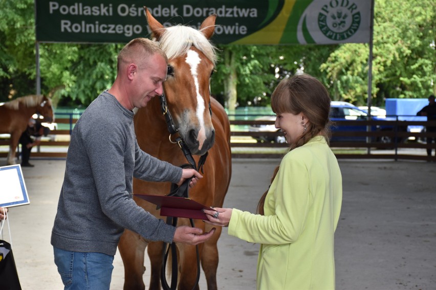 Tytuł Czempiona w kategorii klacz dwuletnia i Czempiona...