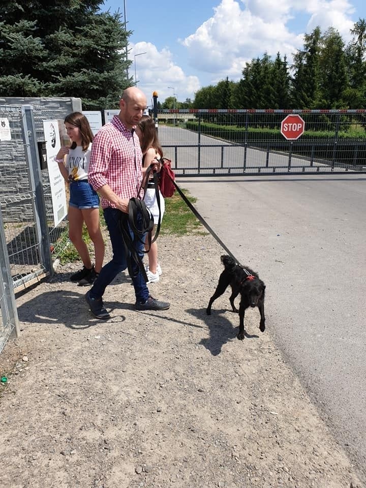Piłkarze Wisły odwiedzili przytulisko psów w Sandomierzu. To ciekawa akcja klubu "Spacer Psiaka i Wiślaka" [ZDJĘCIA]