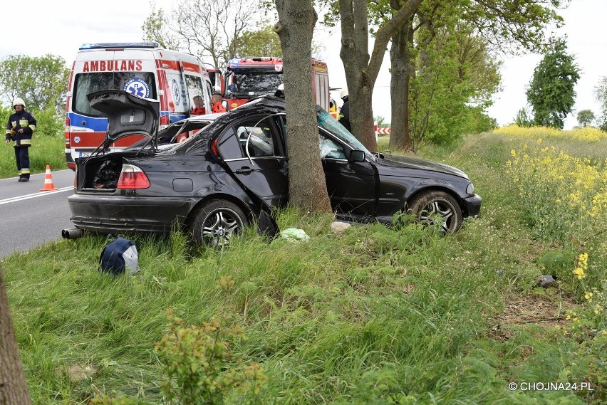 Wypadek koło Morynia. BMW uderzyło w drzewo [zdjęcia]