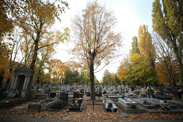 Katowice, cmentarz przy ul. Sienkiewicza