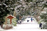 Początek meteorologicznej zimy z intensywnymi opadami śniegu. IMGW wydało ostrzeżenia dla mieszkańców Dolnego Śląska