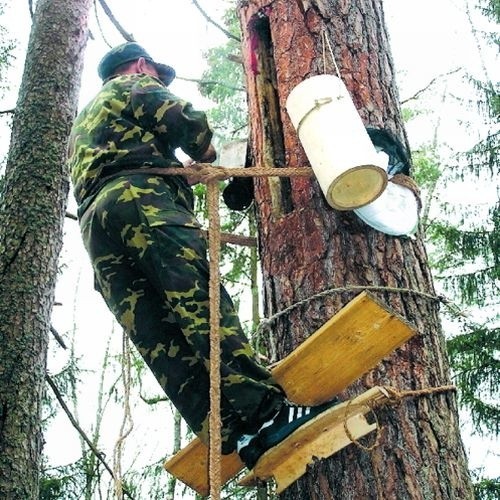 Orężem bartnika jest "leziwo&#8221; (urządzenie do wspinaczki i pracy) oraz ostre narzędzia i "batman&#8221; (naczynie na miód bartny)