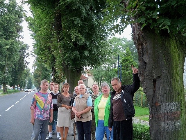 - Drzewa wchodzą na jezdnię i jak widać - są poobijane przez samochody - demonstruje Witold Lika.