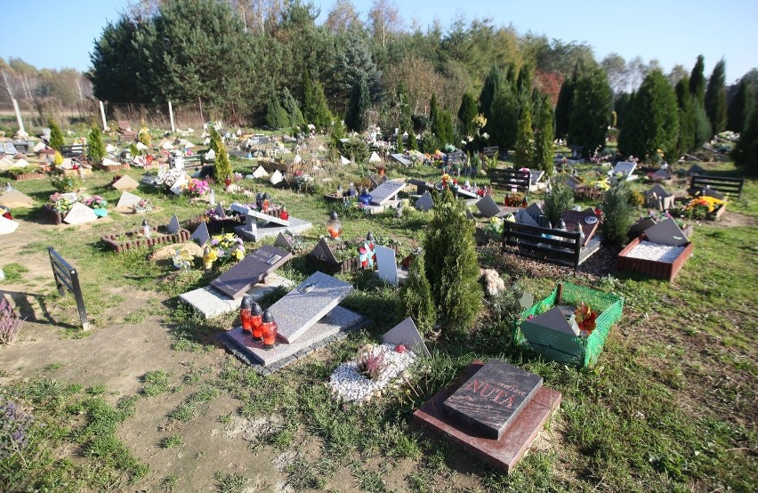 Tak wygląda grzebowisko w Łodzi