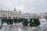 W Mikołajki Nowy Sącz rozbłyśnie świąteczną iluminacją