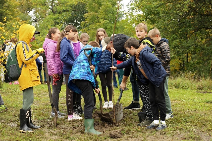 Akcja „Czyste zielone miasta” odbyła się w miejskim parku na...