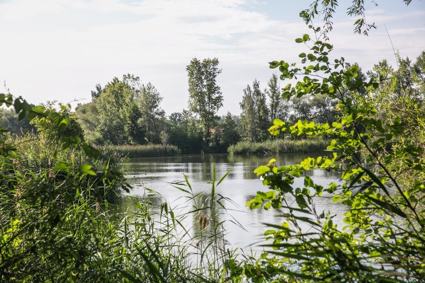 Nie ma chętnych do wyłożenia  milionów na Centrum Rekreacji 