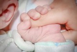 Mali Ukraińcy przychodzą na świat na dolnośląskich porodówkach 