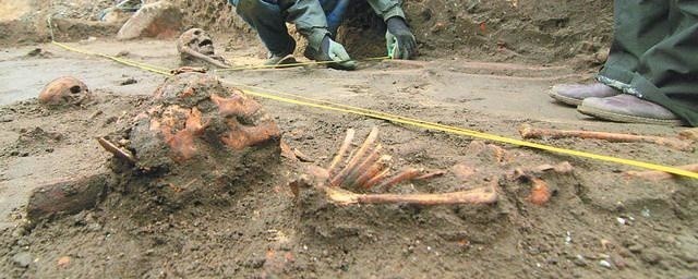 Archeolodzy znaleźli pod ulicą Focha prawie 500 szkieletów