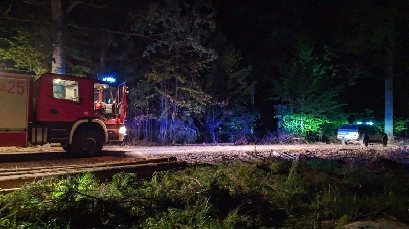 Gołdapscy funkcjonariusze straży granicznej i pożarnej...