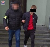 Biała Podlaska. Grupa 23-latków kradła drzewo z lasu - przyłapał ich właściciel