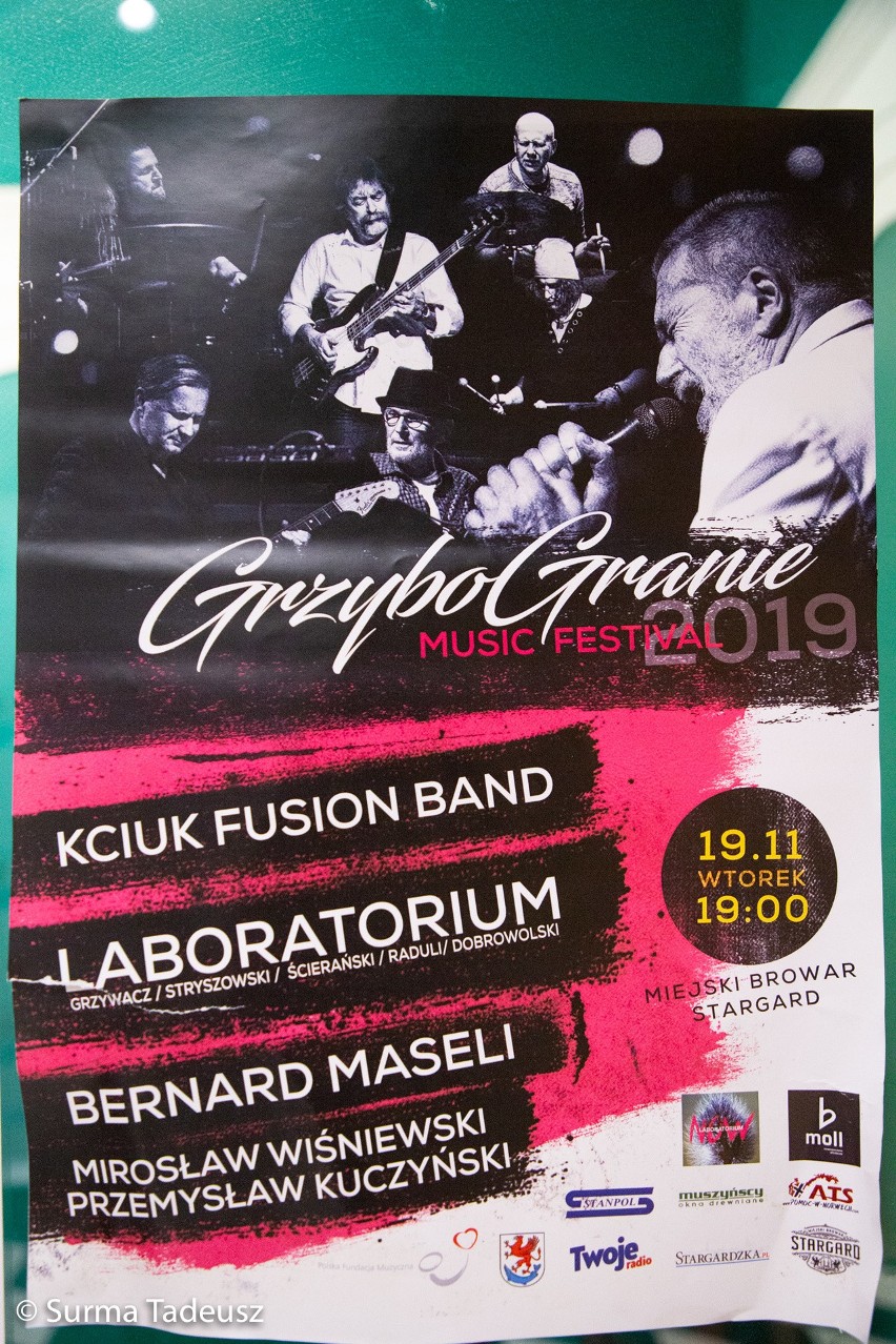 GrzyboGranie Music Festival 2019 w Miejskim Browarze Stargard [ZDJĘCIA]