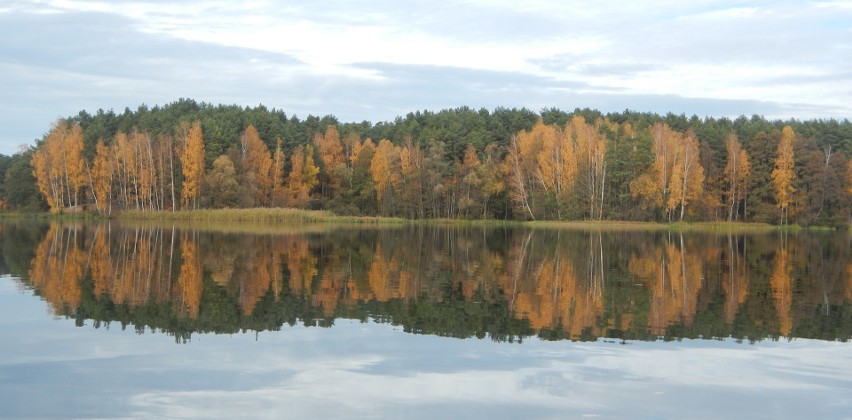 Barwy jesieni na Zalewie Koronowskim i grzyby na brzegu