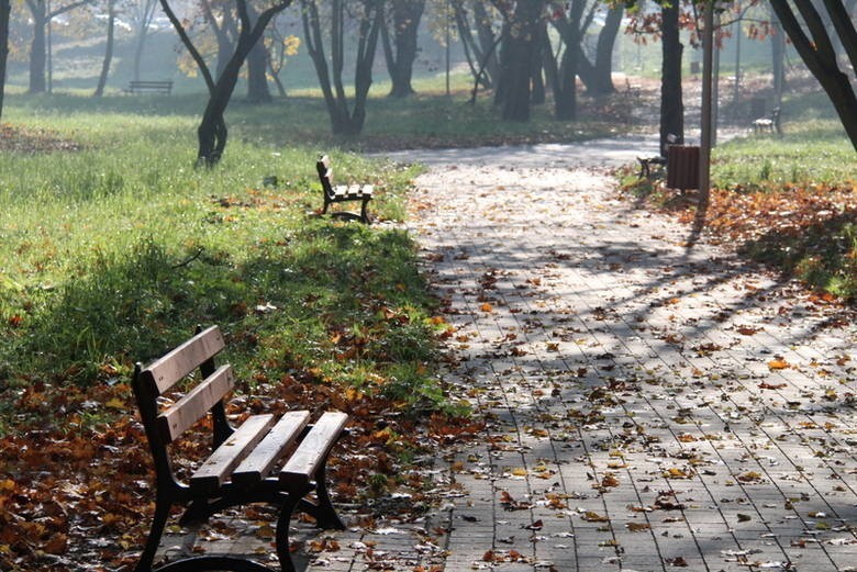 Park Grabek został wybrany inwestycją 30-lecia w Czeladzi....