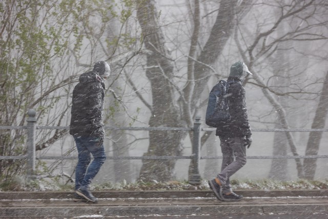 Fala śniegu w Krakowie. W mieście w kilkanaście minut zrobiło się biało
